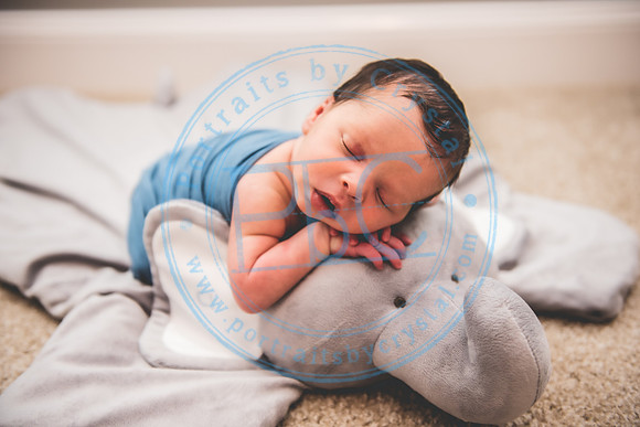 CJ - Newborn_082921_0187