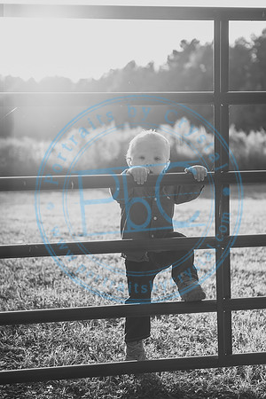 Cox Family - Fall 2018_102318_0477