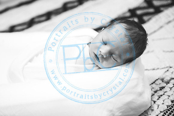 Carter - Newborn_090121_0187