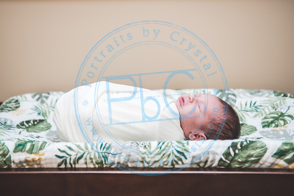 Carter - Newborn_090121_0214