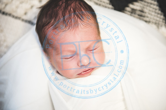Carter - Newborn_090121_0209
