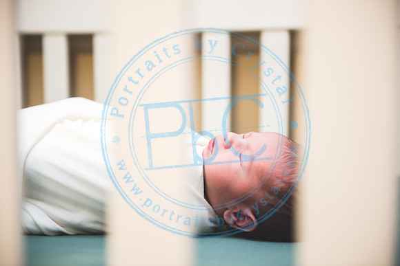 Carter - Newborn_090121_0230