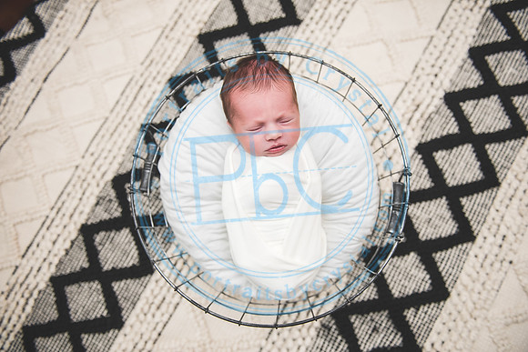 Carter - Newborn_090121_0251