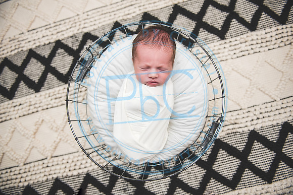 Carter - Newborn_090121_0254