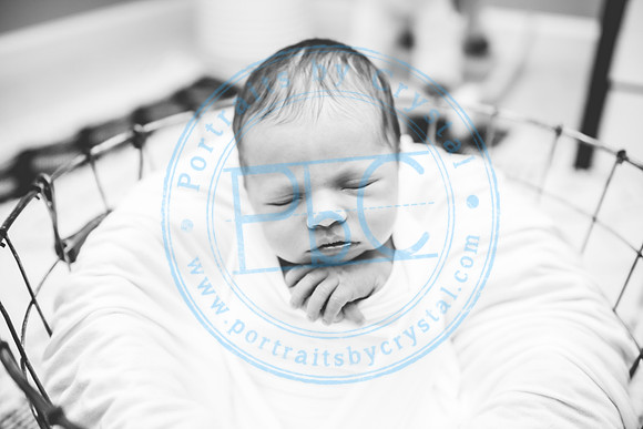 Carter - Newborn_090121_0262