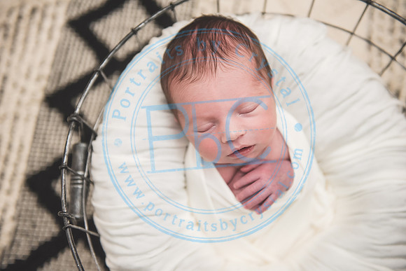 Carter - Newborn_090121_0272