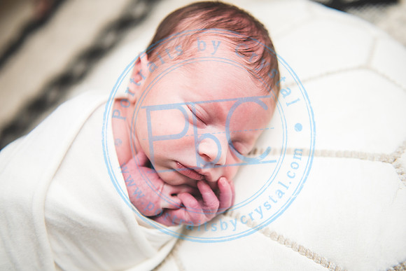 Carter - Newborn_090121_0283