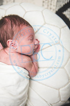 Carter - Newborn_090121_0287