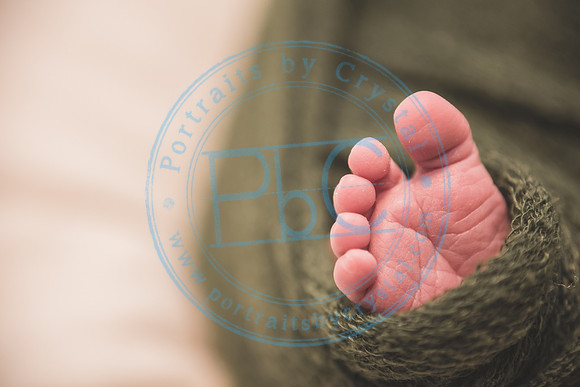 Carter - Newborn_090121_0301