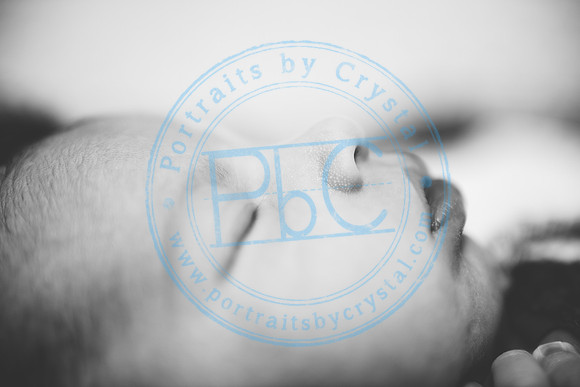 Carter - Newborn_090121_0306