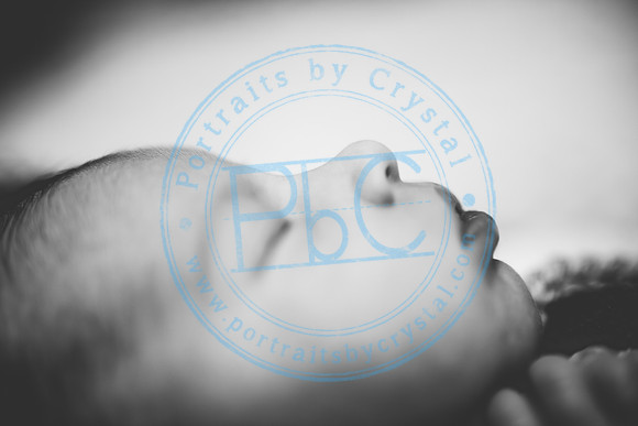 Carter - Newborn_090121_0307