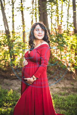 Noheme - Maternity_090321_0035