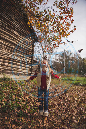 Christmas Minis - 2018_111818_1019