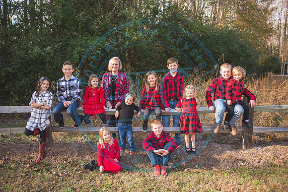 Christmas Minis - 2018_111818_1167