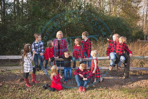 Christmas Minis - 2018_111818_1172