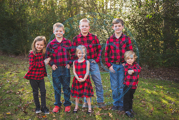 Christmas Minis - 2018_111818_1185