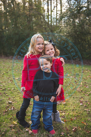 Christmas Minis - 2018_111818_1213