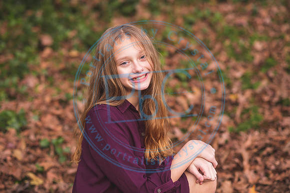 Christmas Minis - 2018_111818_1461