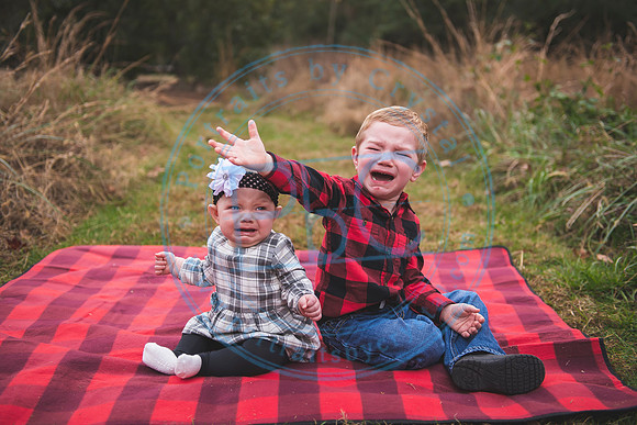 Christmas Minis - 2018_111818_1558