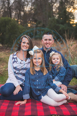 Christmas Minis - 2018_111818_1572