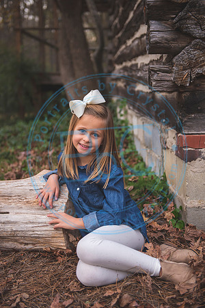 Christmas Minis - 2018_111818_1700