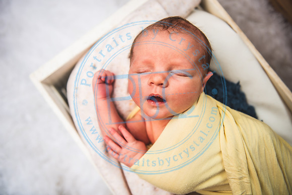 Jackson - Newborn_091221_0383