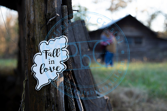 Megan & Josh - Engagement_111618_0026-1