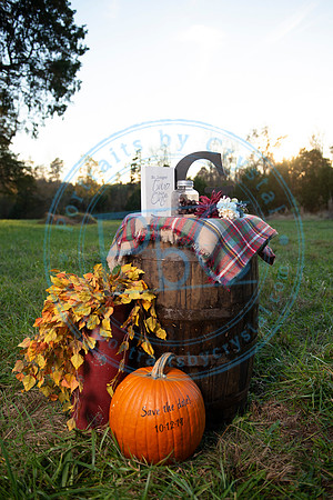 Megan & Josh - Engagement_111618_0189
