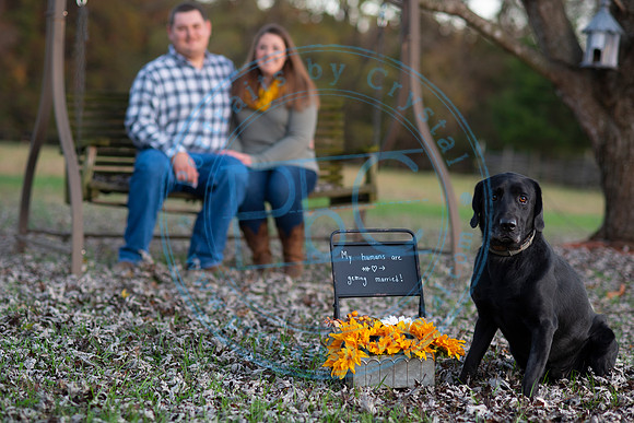 Megan & Josh - Engagement_111618_0275