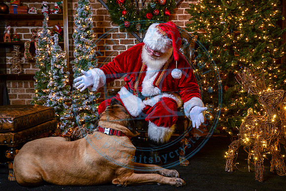 Afternoon with Santa at the Sutherland - 2018_120218_0403
