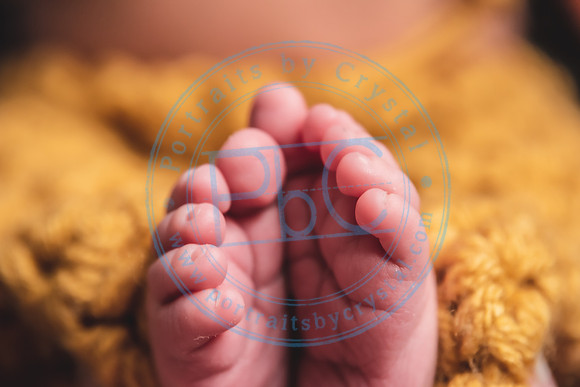 Thomas - Newborn_091721_0292