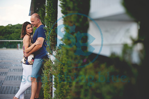 Joel & Joanna Engagement_0081