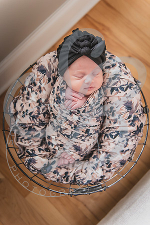 Mia - Newborn_052424_0544