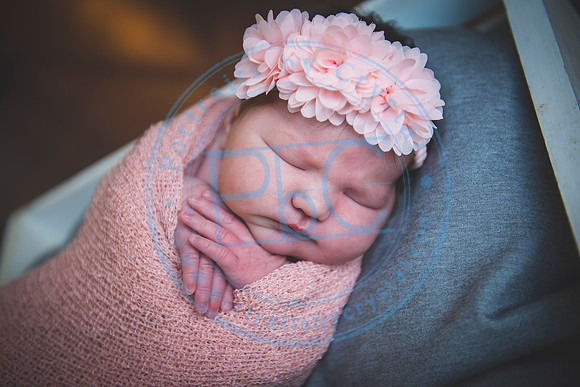 Ella - Newborn_012519_0043
