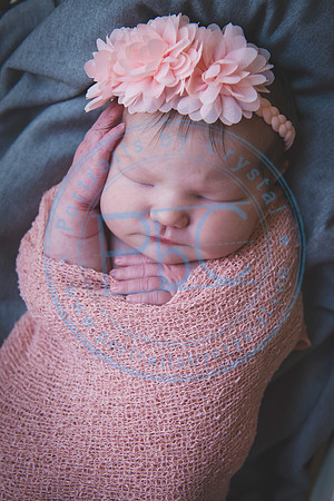 Ella - Newborn_012519_0098