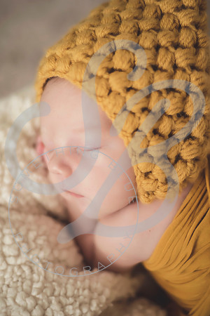 Maverick - Newborn_012122_0089