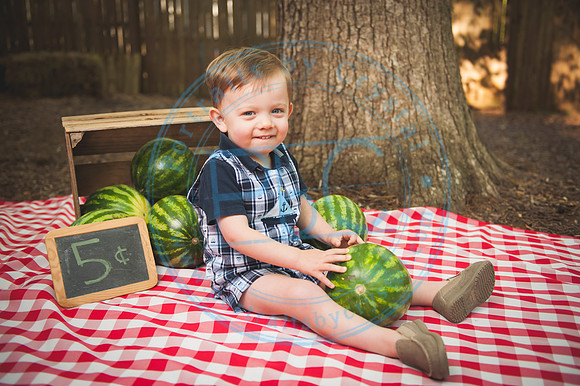 Harvest Learning Center - Spring 2019_041719_0062