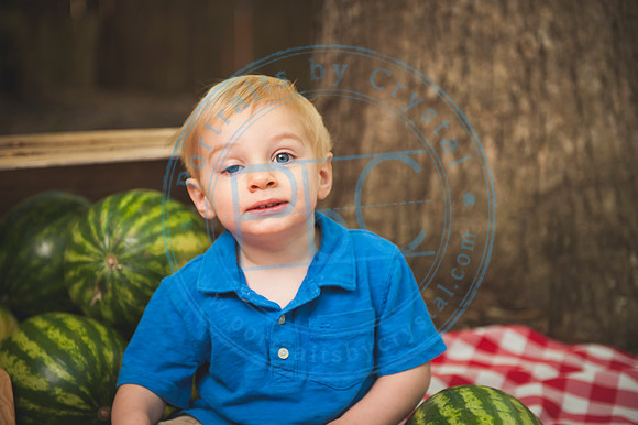 Harvest Learning Center - Spring 2019_041719_0086