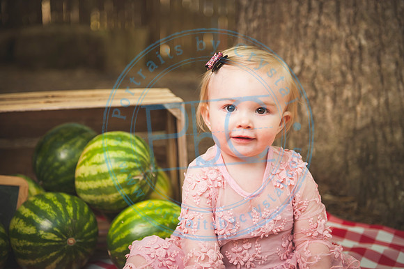 Harvest Learning Center - Spring 2019_041719_0134