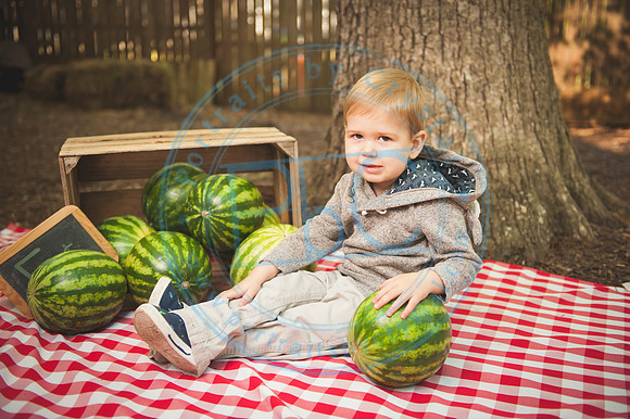 Harvest Learning Center - Spring 2019_041719_0158