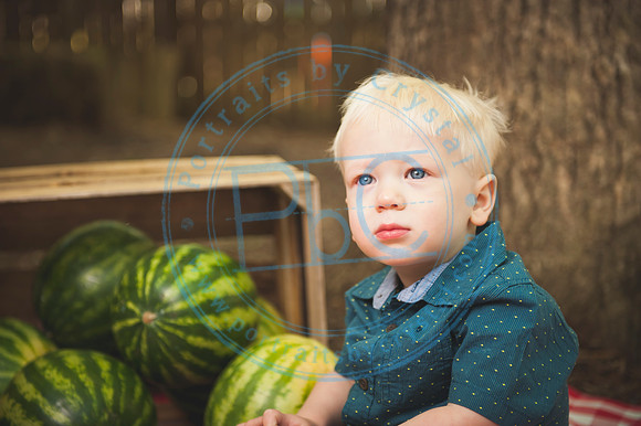 Harvest Learning Center - Spring 2019_041719_0170
