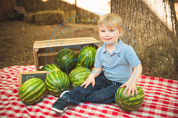 Harvest Learning Center - Spring 2019_041719_0291