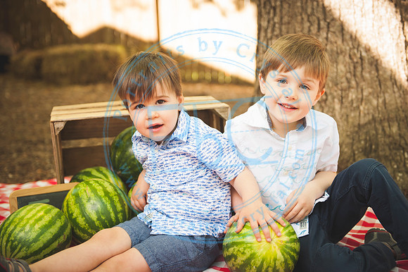 Harvest Learning Center - Spring 2019_041719_0329