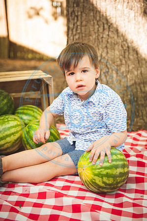 Harvest Learning Center - Spring 2019_041719_0333