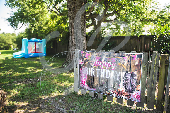 Arabella - 2 year bday_072824_0009