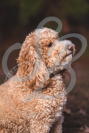 Tammy Mulchi_120723_0116