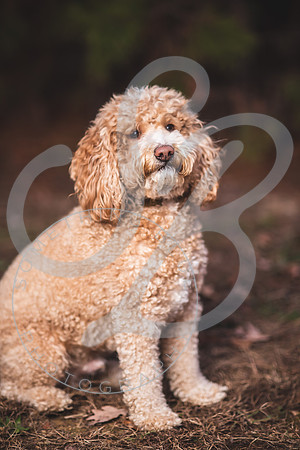 Tammy Mulchi_120723_0117