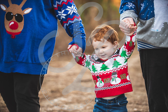 Heldreth Family - Winter 2023_121123_0128