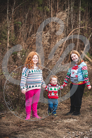 Heldreth Family - Winter 2023_121123_0154