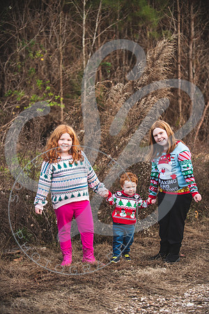 Heldreth Family - Winter 2023_121123_0167